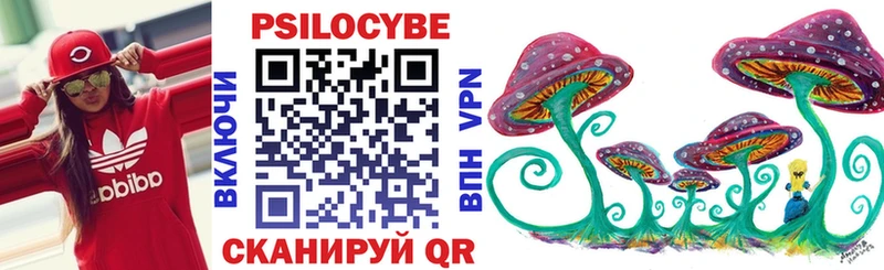 Псилоцибиновые грибы Psilocybe  блэк спрут как войти  Ясный 