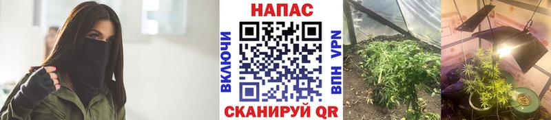 Канабис марихуана  где можно купить   Ясный 